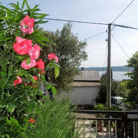 Miljkovic Ii Daire